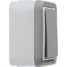 Однополюсный переключатель LEGRAND на 2 направления Plexo накладной монтаж 10 A 250 В серый 069711
